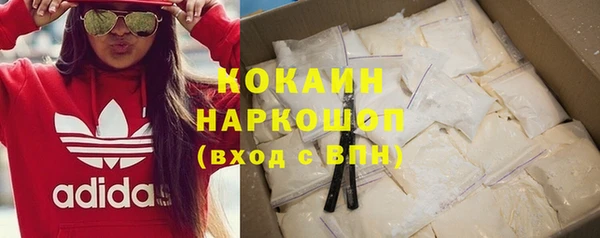 гидра Кодинск
