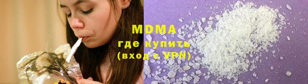 гидра Кодинск