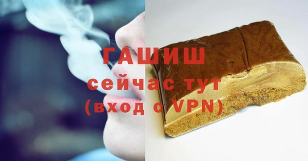 гидра Кодинск