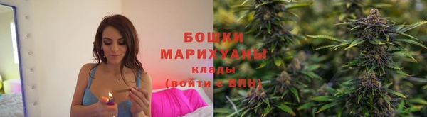 спайс Козловка
