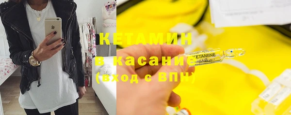 гидра Кодинск