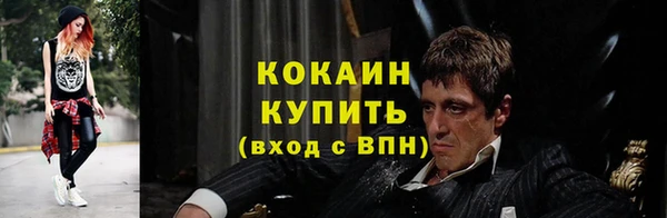 гидра Кодинск