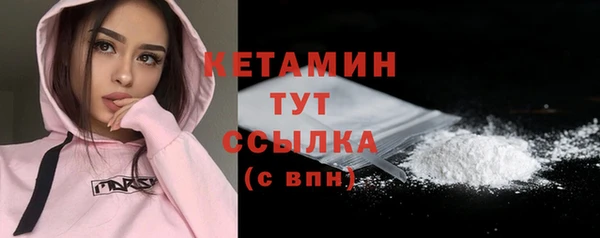 гидра Кодинск