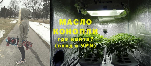 гидра Кодинск