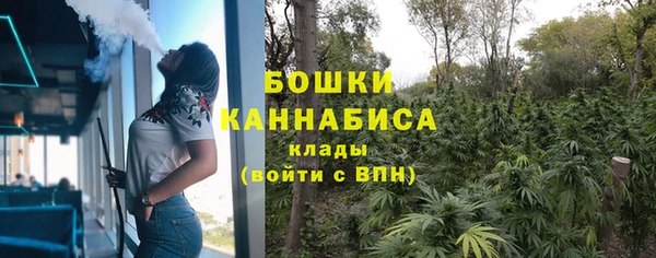 гидра Кодинск