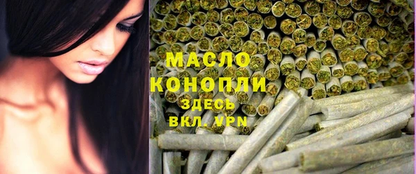 гидра Кодинск