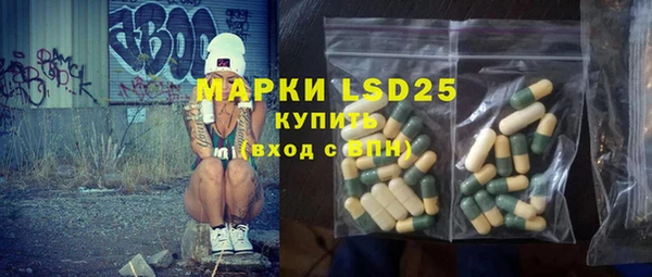 гидра Кодинск