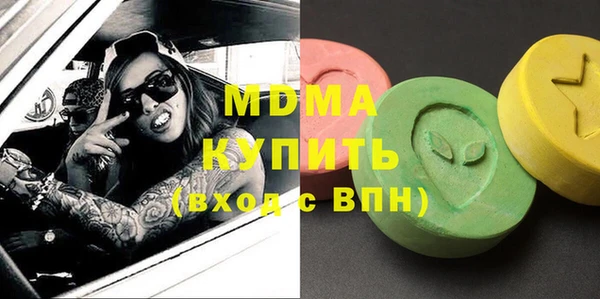 гидра Кодинск