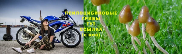 спайс Козловка