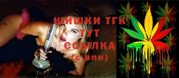 сатива Коряжма