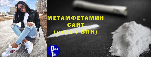 гидра Кодинск