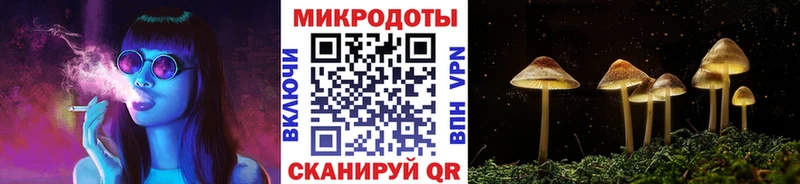 Купить закладки  Новая Ляля  Галлюциногенные грибы GOLDEN TEACHER 